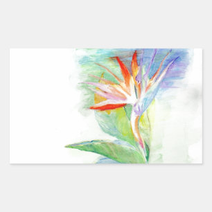 Sticker Rectangulaire Oiseau du Paradis