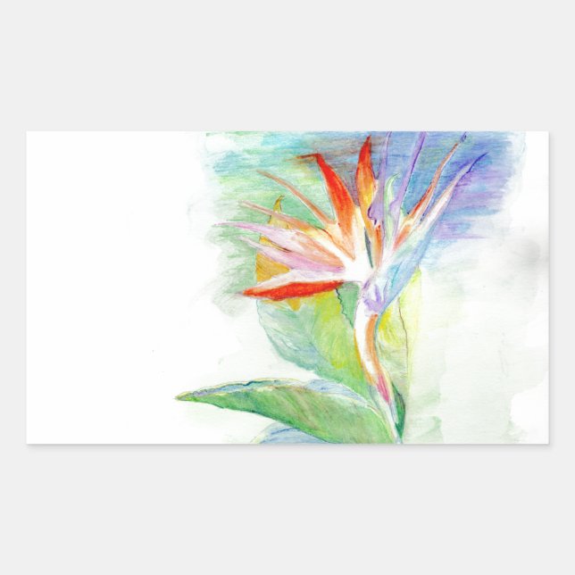 Sticker Rectangulaire Oiseau du Paradis (Devant)