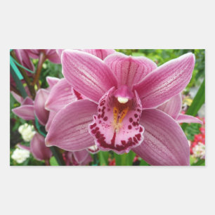 Sticker Rectangulaire Orchidée Violette Élégante Botanique Florale