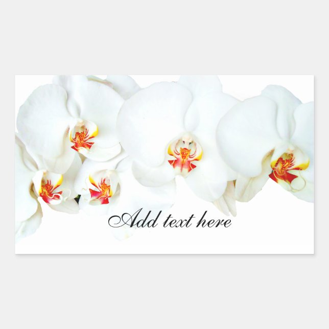 Sticker Rectangulaire Orchidées Love_ (Devant)
