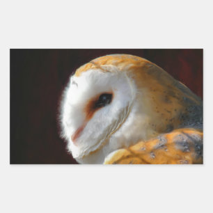 STICKER RECTANGULAIRE OWLS