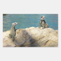 Paire de Iguanas Photographie de la faune tropical