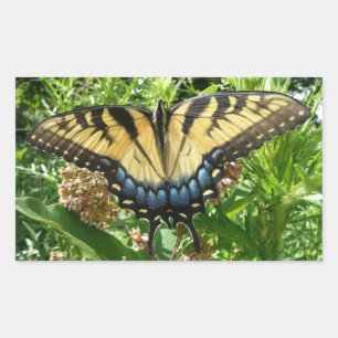 Sticker Rectangulaire Papillon à queue d'aronde II à Shenandoah