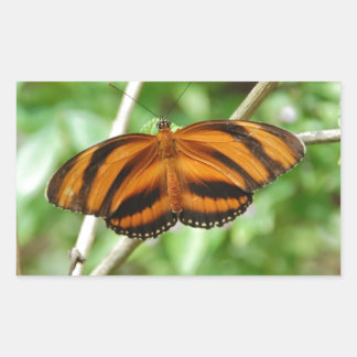 Sticker Rectangulaire Papillon à rayures de tigre