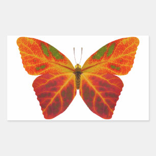 Sticker Rectangulaire Papillon feuille Aspen 2