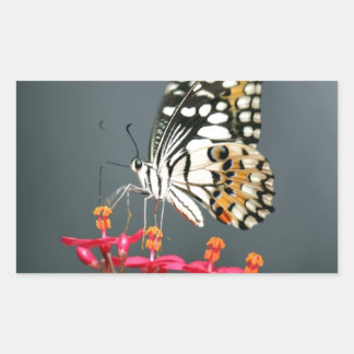 Sticker Rectangulaire Papillon noir et jaune blanc sur Fleurs roses