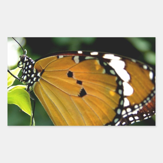 Sticker Rectangulaire Papillon orange, noir et blanc sur feuille (Devant)