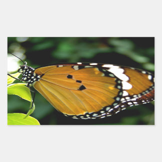Sticker Rectangulaire Papillon orange, noir et blanc sur feuille