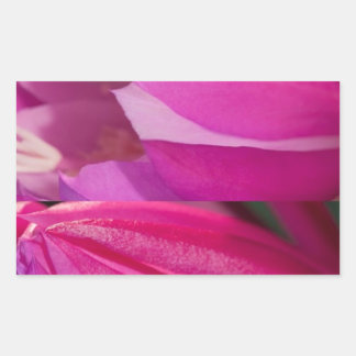 Sticker Rectangulaire Parfait Séduction Rose : Coeurs Fleurs Romantiques