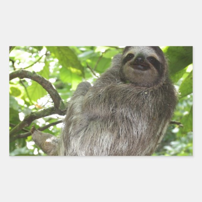 Sticker Rectangulaire Parfums détendus dans la nature (Devant)