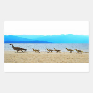 Sticker Rectangulaire Patrol Canada Oies