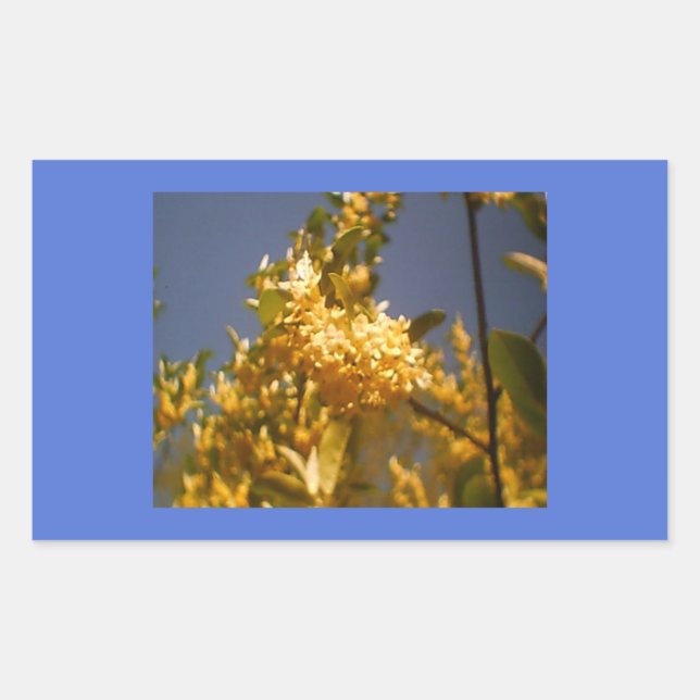 Sticker Rectangulaire Pays Floral été (Devant)
