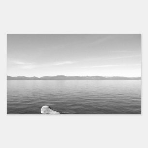 Sticker Rectangulaire Paysage noir et blanc 11