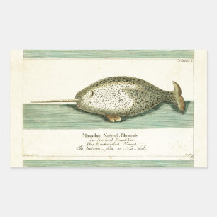 Sticker Rectangulaire Peinture à l'aquarelle de baleine ancienne Narwhal