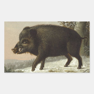 Sticker Rectangulaire Peinture de chasse Brown vintage, Art de la faune