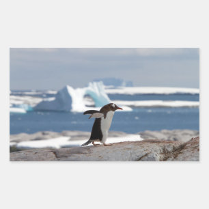 Sticker Rectangulaire Penguin in front of an ice arch