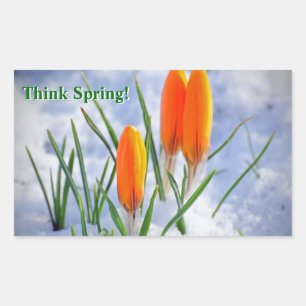 Sticker Rectangulaire Pensez au printemps ! Fleur Crocus Poussant La Nei