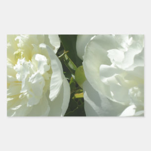 Sticker Rectangulaire Peonies blanches
