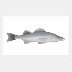 Sticker Rectangulaire Perche blanche