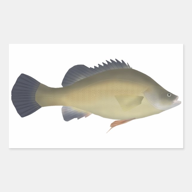 Sticker Rectangulaire Perche d'or (Devant)