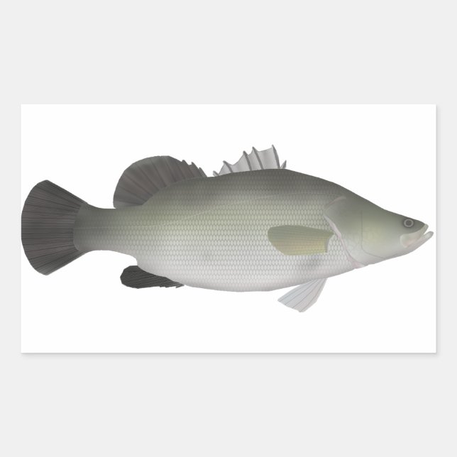 Sticker Rectangulaire Perche du Nil (Devant)