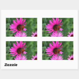 Sticker Rectangulaire Perche papillon
