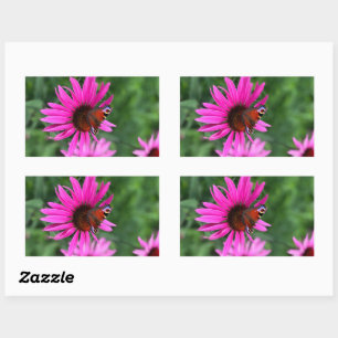 Sticker Rectangulaire Perche papillon
