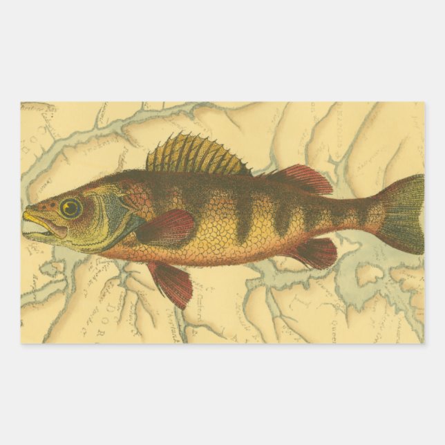 Sticker Rectangulaire Perle jaune sur la carte (Devant)