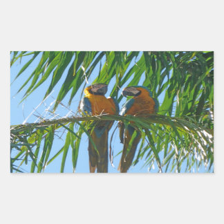 Sticker Rectangulaire Perroquets - Macaws bleu et or