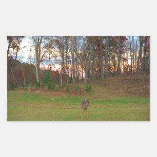 Sticker Rectangulaire Petit cerf et coucher de soleil rose