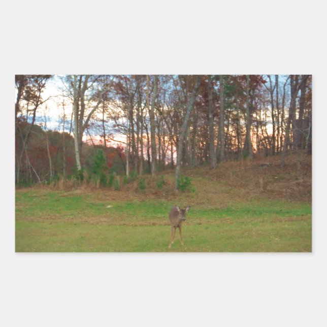 Sticker Rectangulaire Petit cerf et coucher de soleil rose (Devant)