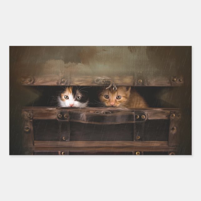 Sticker Rectangulaire Petit chaton mignon dans un vieux coque en bois (Devant)
