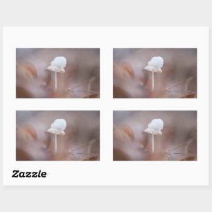 Sticker Rectangulaire Petite photo de la nature des champignons