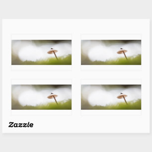 Sticker Rectangulaire Petite photo de la nature des champignons