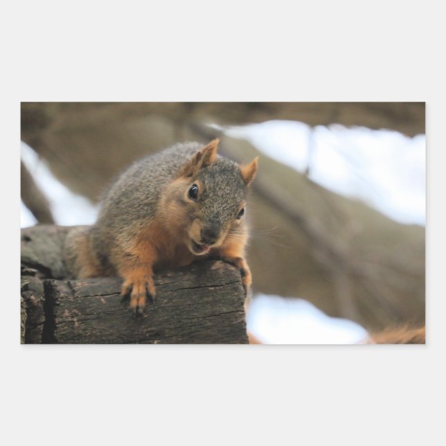 Sticker Rectangulaire Pfft (Devant)