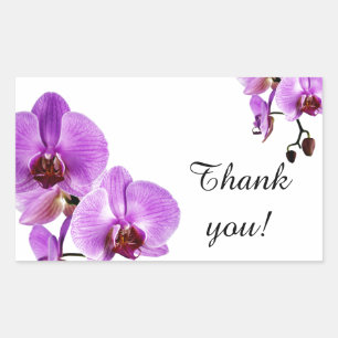 Sticker Rectangulaire phalaenopsis d'orchidées violettes merci