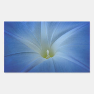 Sticker Rectangulaire Photo bleue merveilleuse de plan rapproché de