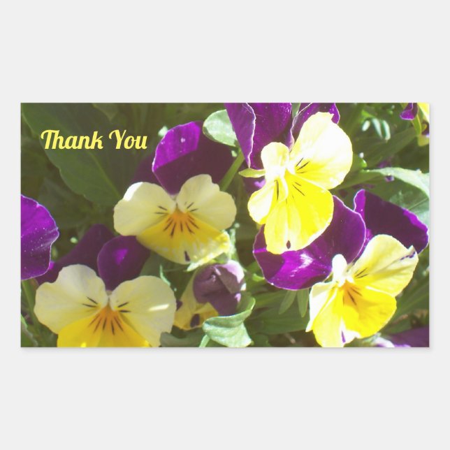 Sticker Rectangulaire Photo de Merci de panneaux violet et jaune (Devant)