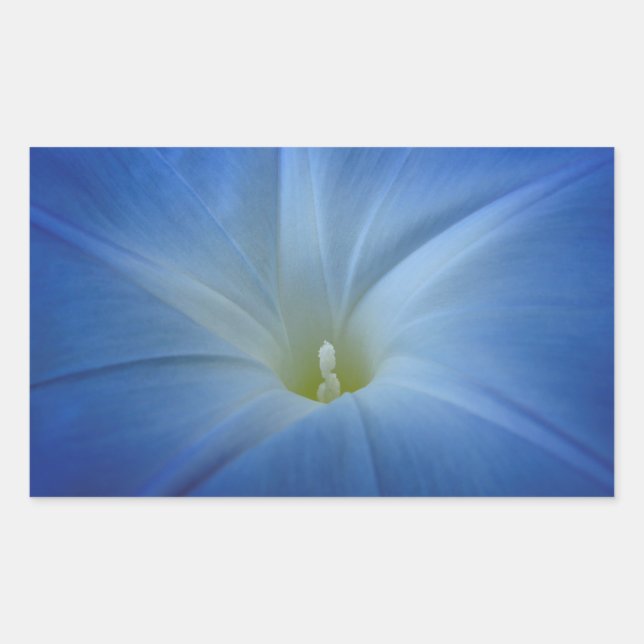 Sticker Rectangulaire Photo Gros plan du matin bleu paradisiaque (Devant)