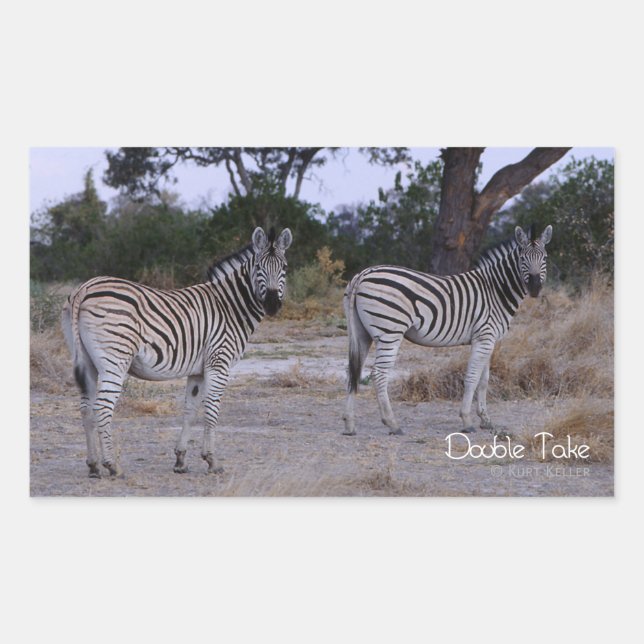 Sticker Rectangulaire Photo Zebra Double Take (Devant)