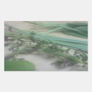 Sticker Rectangulaire Photographie des Herbes antiques