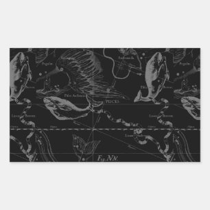 Sticker Rectangulaire Pisces Constellation Hevelius 1690 sur Black