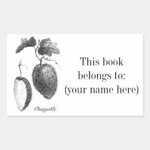 Sticker Rectangulaire Plaque vintage de gravure de chayote