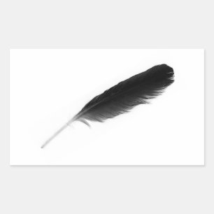 Sticker Rectangulaire Plumes noires originales mignonnes sur un arrière 