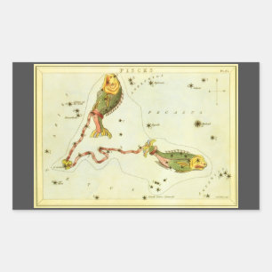 Sticker Rectangulaire Poisson des Poissons, Miroir d'Urania de constella