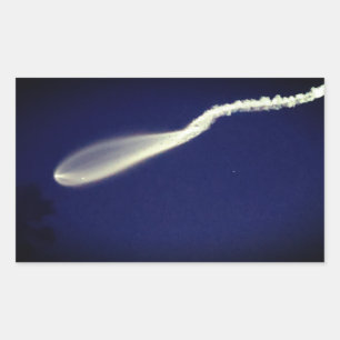 Sticker Rectangulaire Poisson-fusée