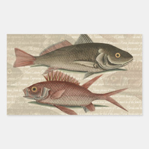 Sticker Rectangulaire Poisson Perche rouge Art pêcheur