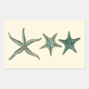 Sticker Rectangulaire Poisson triplé aquamarine