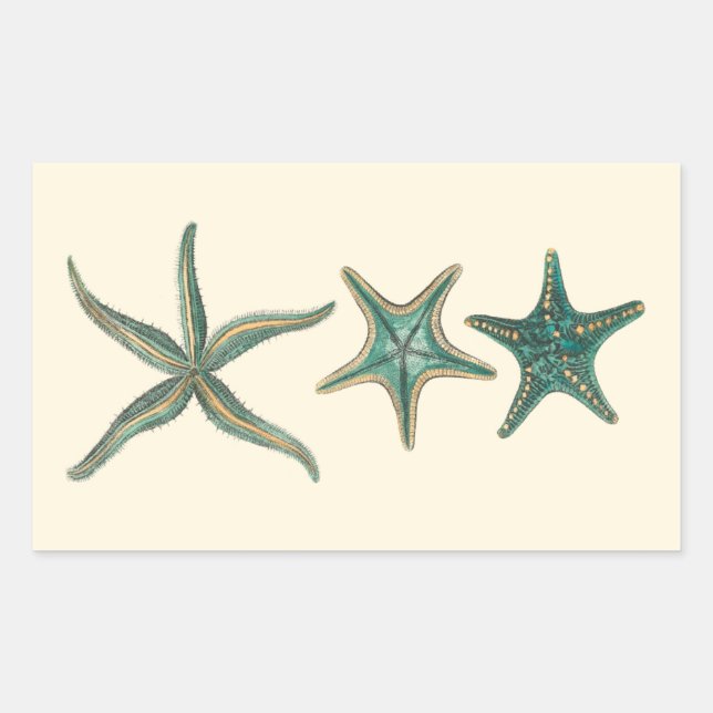 Sticker Rectangulaire Poisson triplé aquamarine (Devant)