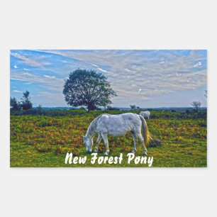 Sticker Rectangulaire Ponts de la Nouvelle Forêt Blanche Rare, Cheval Sa